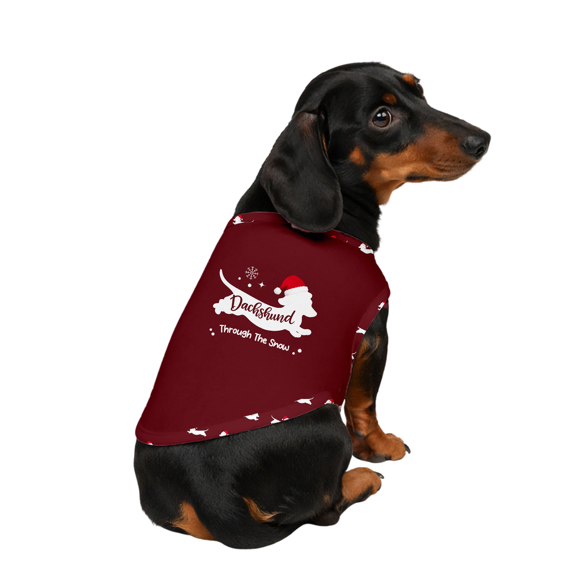 Dachshund Through The Snow Christmas Family Matching Pajamas Set